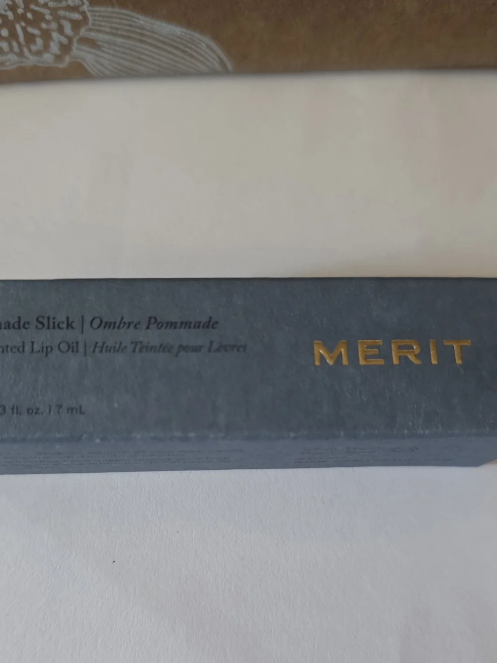 MERIT Tinted Lip Oil in Slate Blue Packaging